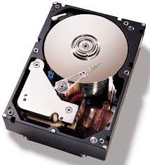 هارد دیسک های اولیه شامل دیسک های بزرگ با قطر 20 اینچ (50/8 سانتیمتر) بوده